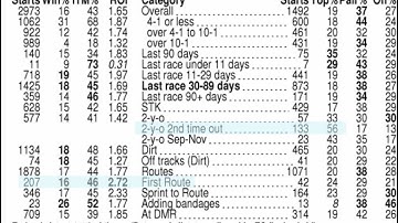 2025 Juvenile Fillies