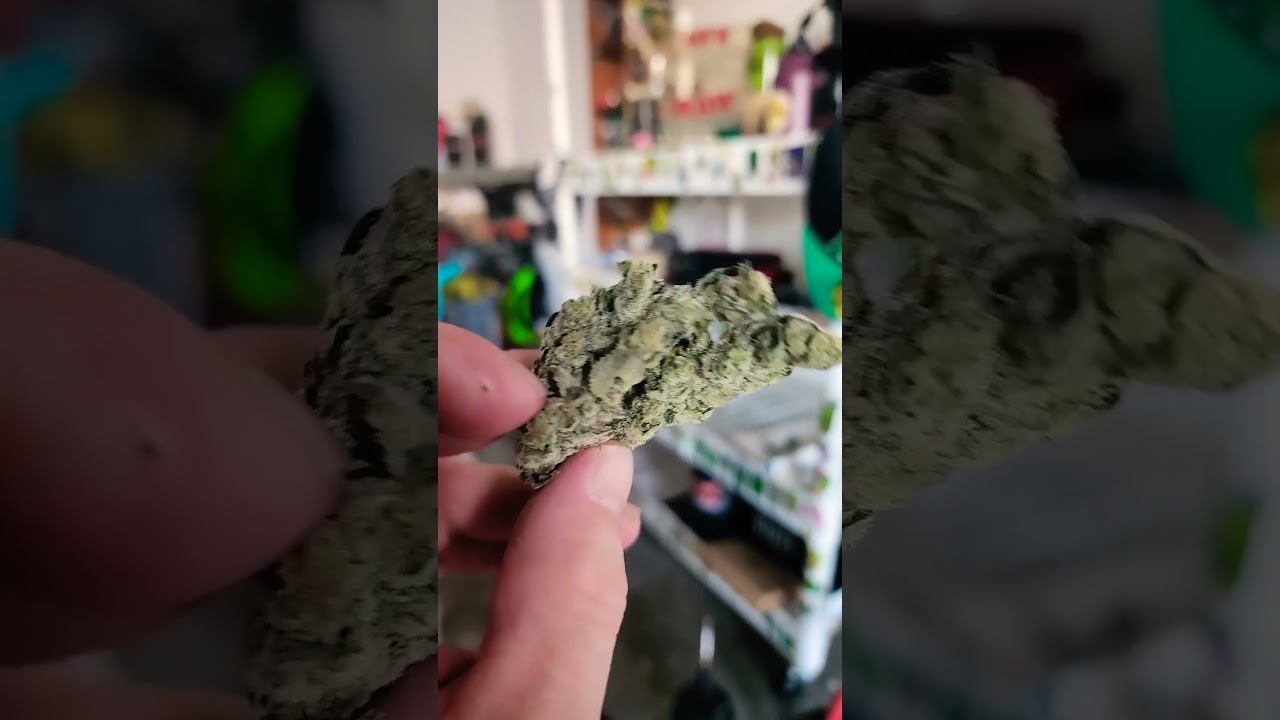 holy moly by fig farm total thc is 44.77