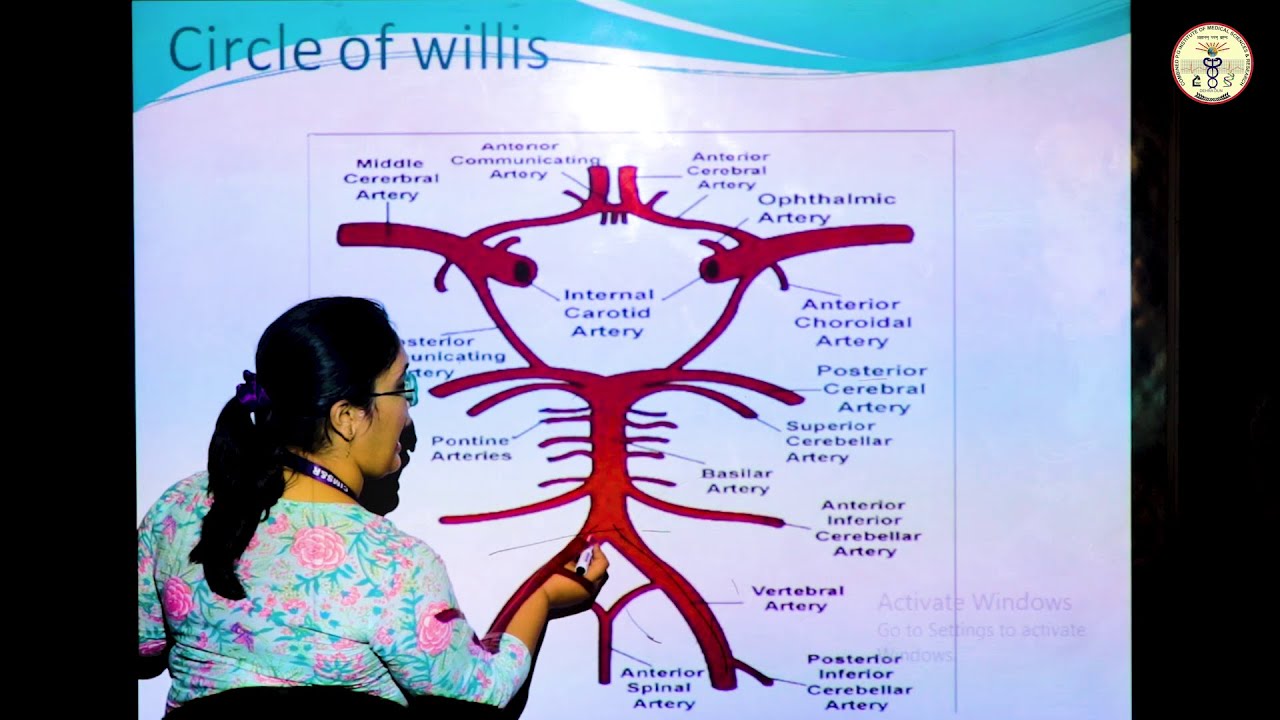 Circle Of Willis Provide Collateral Blood Supply To The Brain By Dr ...