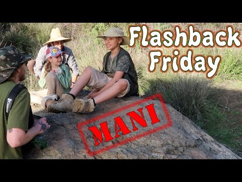 Flashback Friday BTS Mani | Julian Clark