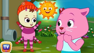 incy wincy spider cute cats watch spiders climb chuchu tv