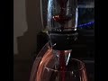 Vinturi wine aerator
