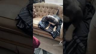 Chyna Dont Feel Like Doing Anything