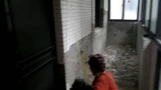 築舍國際室內裝修拆除施工 2