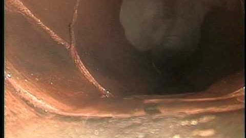 96441   Westgate PRE PipePatch   Cracked Clay Joint