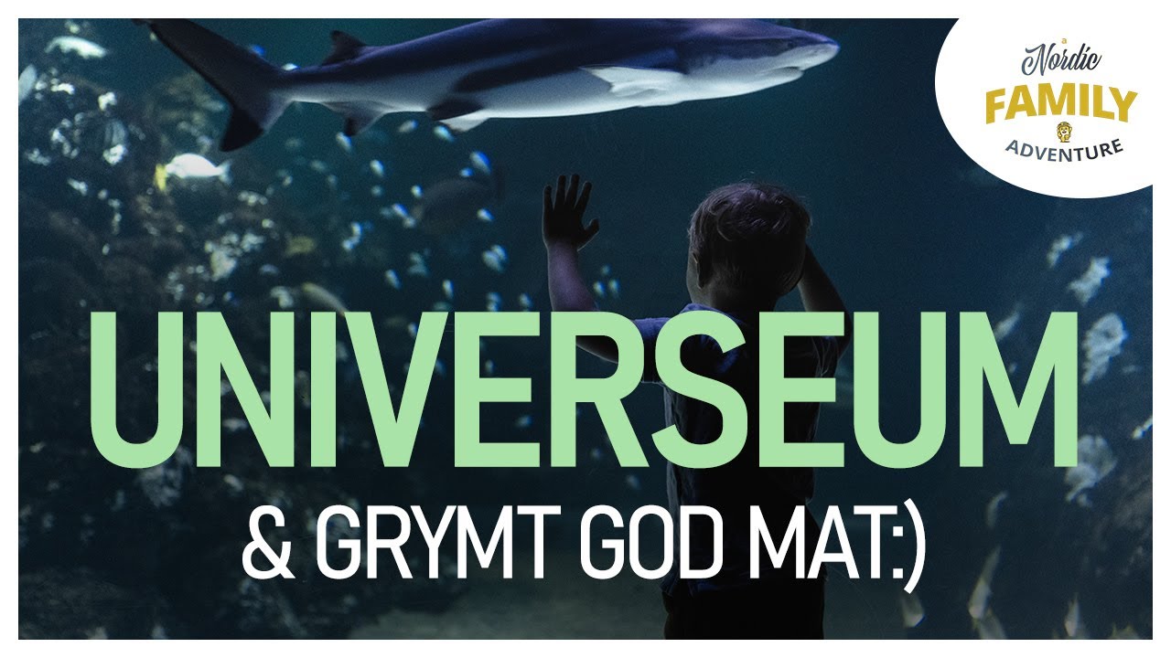 Dans i fontän och Universuem:) Vlogg Göteborg #2