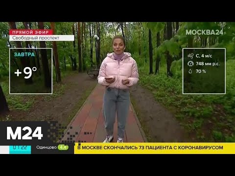 "Утро": высокая влажность ожидается в столице 22 мая - Москва 24