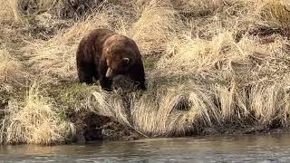 32 Chunk - video by B. Stone, Katmai NPS Maintenance