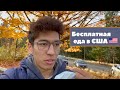 Бесплатная еда в США? / Амерканские фуд-корты для студентов