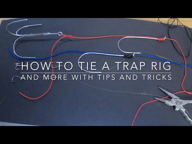 How to tie a trap rig 