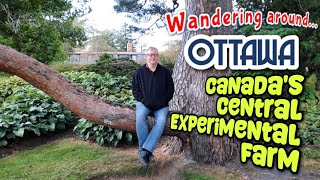 👣 Wandering Around Ottawa 🚜 Ornamental Gardens & Tropical Greenhouse at Canada's Experimental Farm by Steve's World of Wanders 177 views 6 months ago 27 minutes