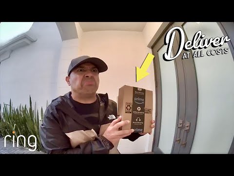 I NEED TO DELIVER THIS PACKAGE.... AT ALL COSTS!!!
