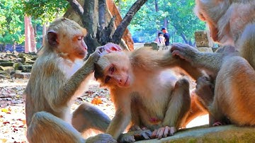 Untitled 2025 08 16 09 46 55