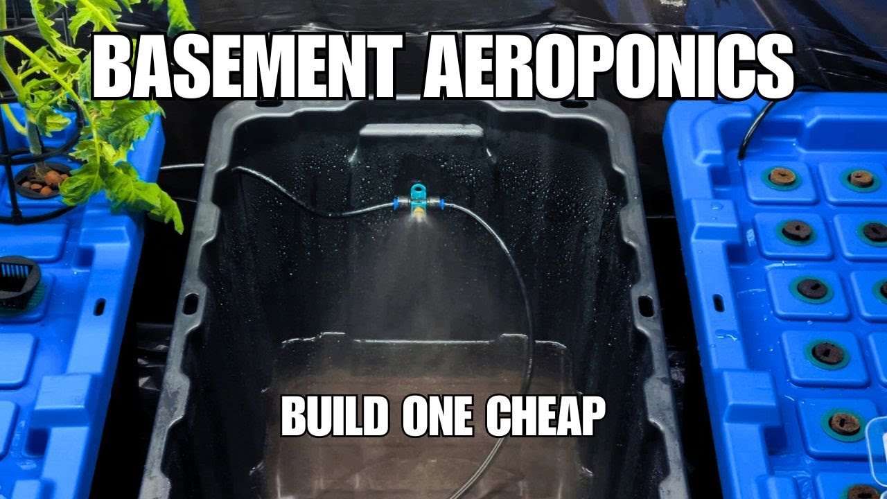 Building a DIY Aeroponics system at home - Hydroponics Gardening