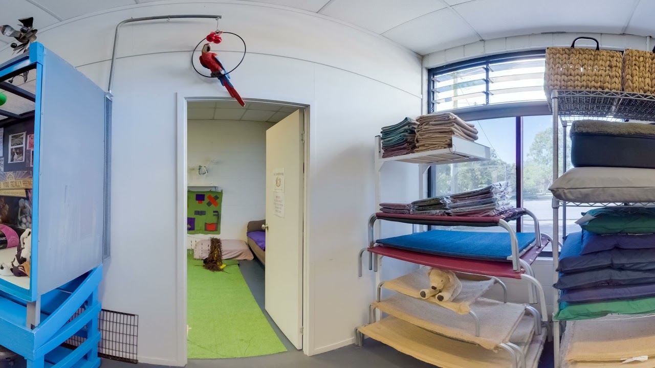 The Complete Pet Company YouTube