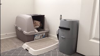 Odor free nontracking cat litter box setup | Cat Restroom | 猫厕所 | 猫トイレ