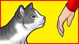 Famous Do Cats Miss Us When We Leave the House? Net Worth