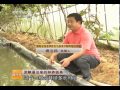 科技苑 《科技苑》 20131025 泥鳅逼出来的种养链条