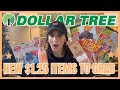 *BIG NEW FINDS* DOLLAR TREE HAUL | $1.25 that I don&#39;t think will lost long | NEW ARRIVALS