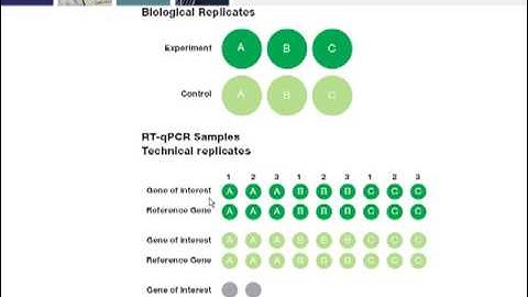 Key Steps for Generating Real-Time PCR Data that Conforms to MIQE Guidelines, Part 4 of 4