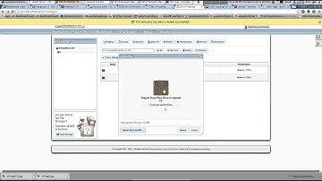 Uploading Assignments To Biz.nf
