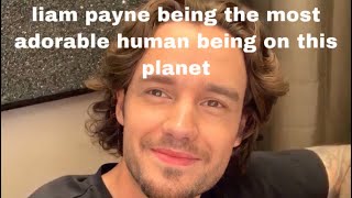 liam payne being the most adorable human being on this planet screenshot 2