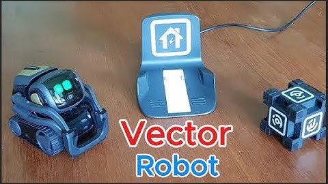 Can Vector Robot speak and answer questions?, Can Vector see and recognize faces and objects?