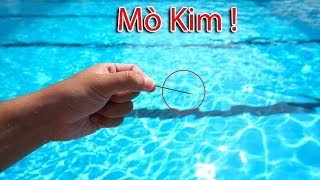 NTN - Thử Thách Mò Kim Dưới Bể Bơi (Finding the needle under a pool)