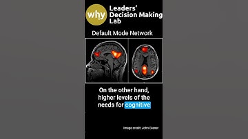 Need for Cognitive Closure: The Neuroscientific Basis of Seeking Definite Answers