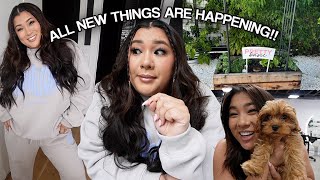 ALL NEW THINGS HAPPENING!! + Summer WhiteFox Boutique Haul!!