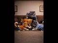 Cat be cat #cat #funny