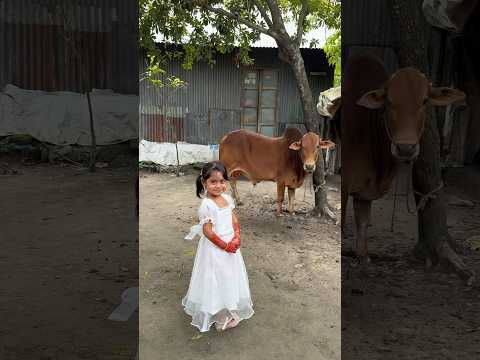 ঈদের আনন্দ সবার সাথে ভাগাভাগি করে 🥰আজকে আমাদের ঈদ 🌙 #fypageシ #kamruljinnat #eidmubarak