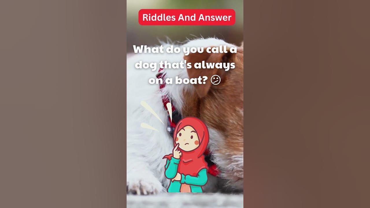 Dogs Riddle Dogs Riddles in English Riddles with Answer Hard