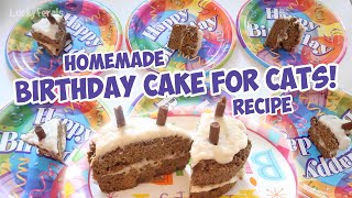 I Baked A Birthday Cake For My Cats! Homemade Birthday Cake For Cats Recipe  S5 E2