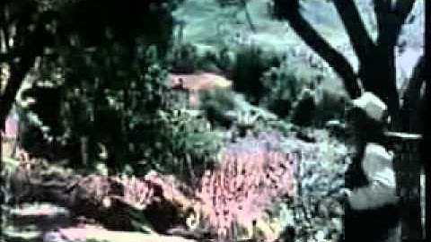 Project of Thu 03 Mar 2011 05:20:52 PM PST