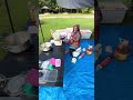 Muki Belum Masak..