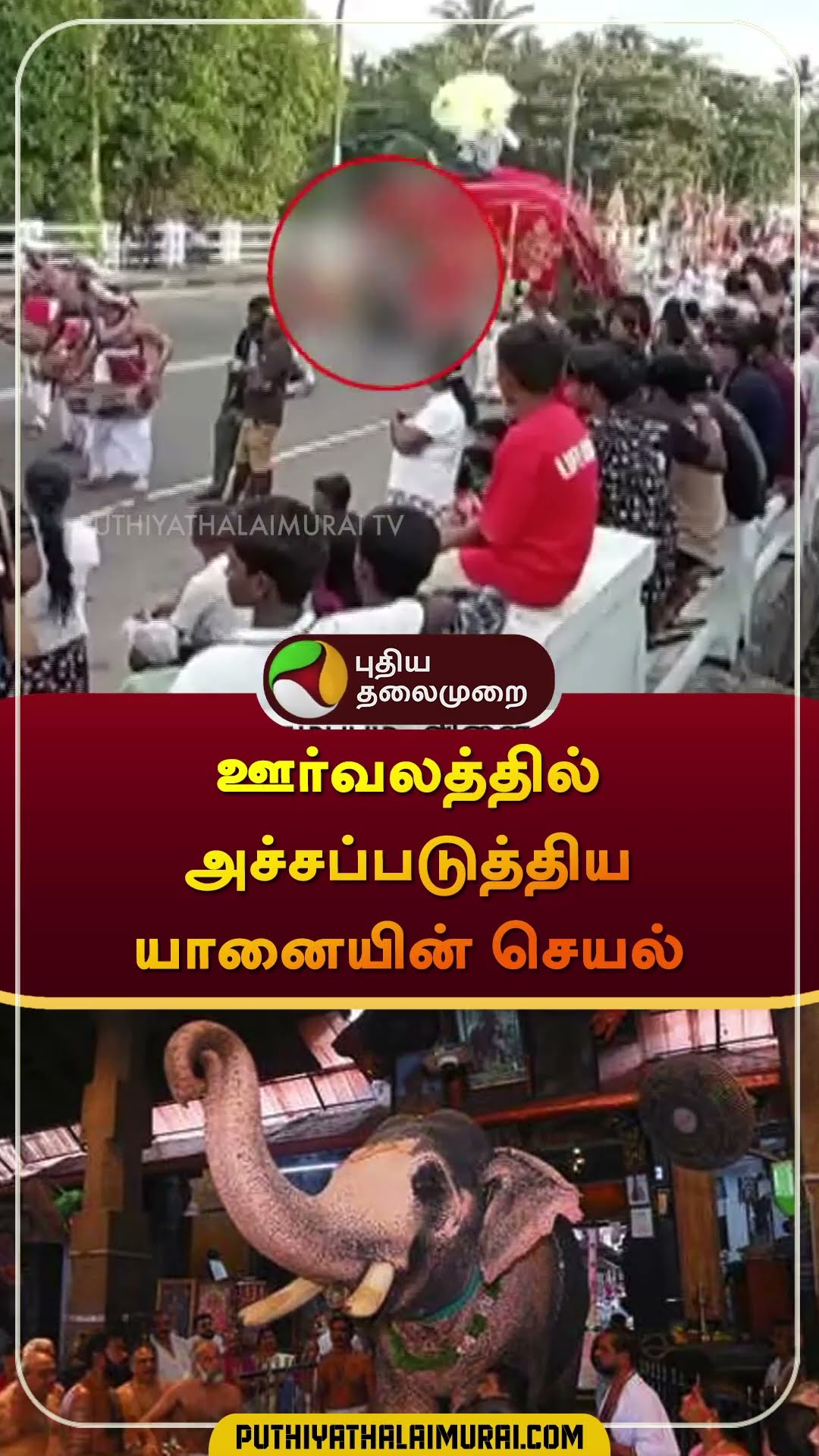 ஊர்வலத்தில் அச்சப்படுத்திய யானையின் செயல் | #srilanka | #elephant | #shorts