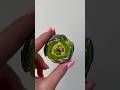 LetтАЩs Unbox Arc Wizard ЁЯзЩтАНтЩВя П ASMR Beyblade Beybladex LetтАЩs Unbox Arc Wizard ЁЯзЩтАНтЩВя П ASMR Beyblade Beybladex
