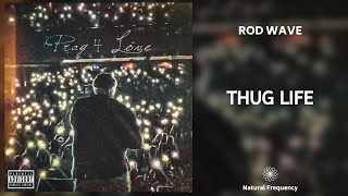 Rod Wave - Thug Life (432Hz)