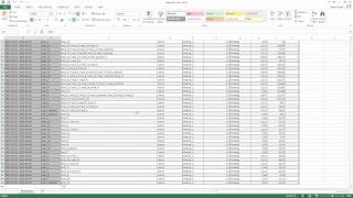 Generating a License Statistics report using Excel