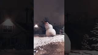 Frosty Wants To Play