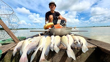 Giăng Câu Cá Sủ Sông Tiền Cùng Anh Nghĩa 2 Năm 3 Đứa | #66TV #fishing