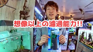 スポンジフィルターの優秀さをしみじみと解説する山田氏【トールマンTV切り抜き】