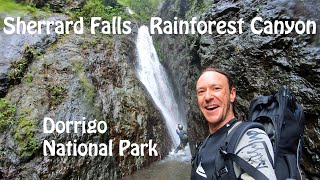 Shocking Sherrard Rainforest Canyon with more flow | Waterfall Way, Dorrigo National Park, Australia
