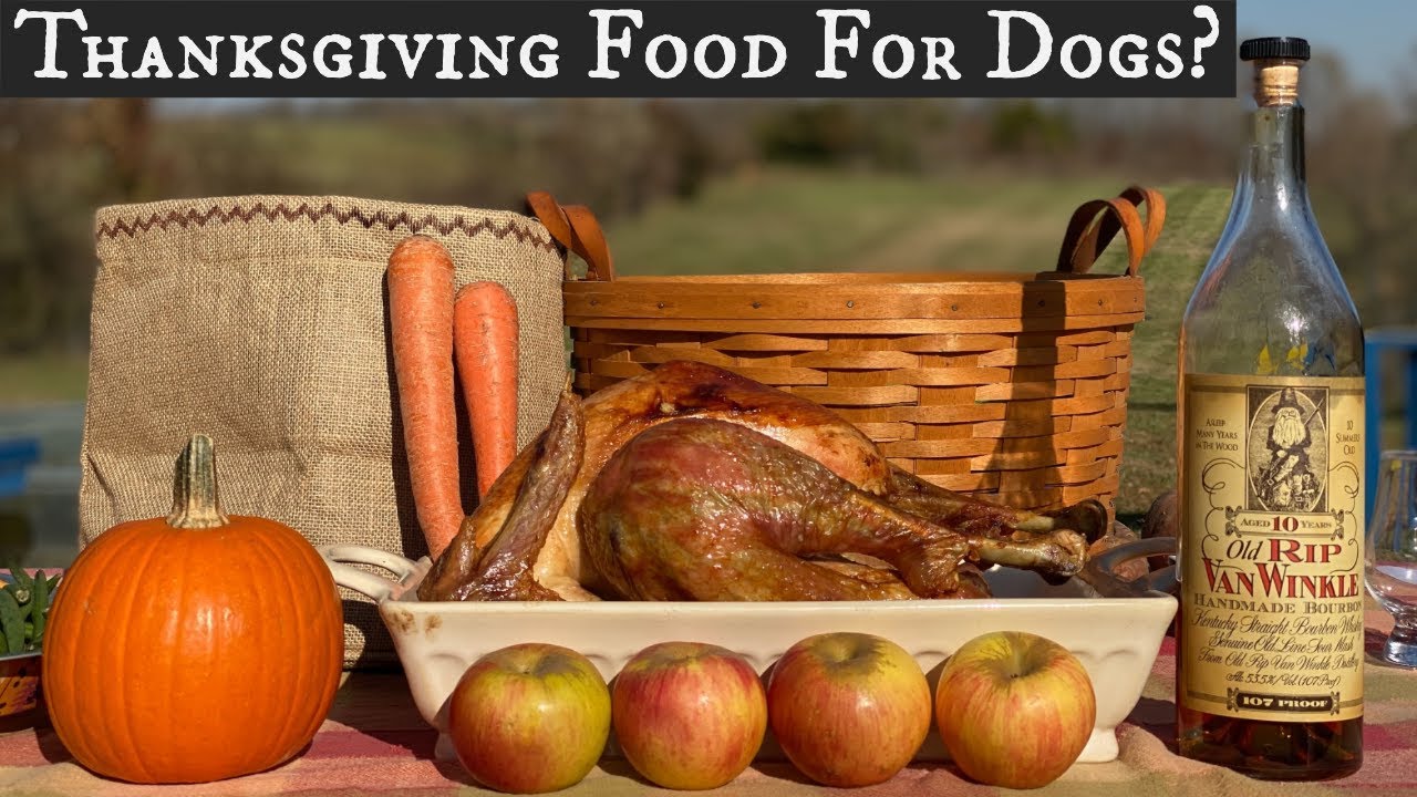 Thanksgiving Food For Dogs? | What is Safe and Appropriate? - YouTube