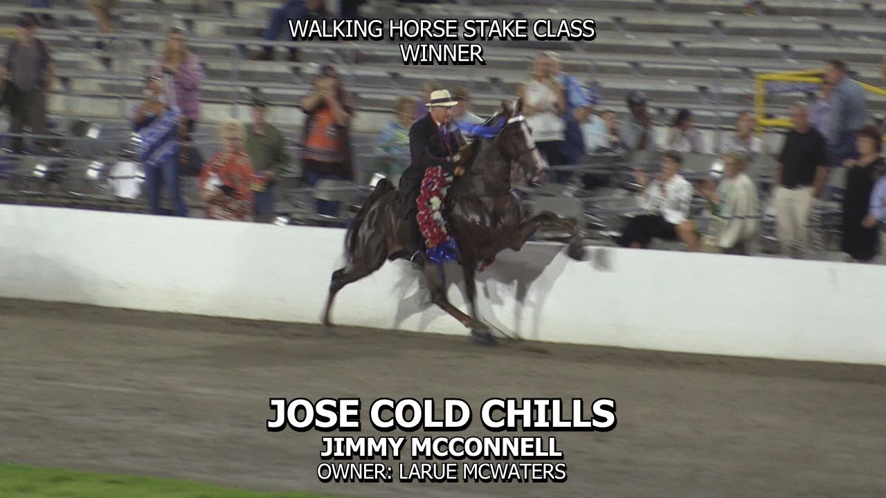JOSE COLD CHILLS 2020 SPRING FUN SHOW YouTube