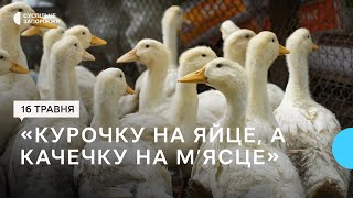 У Біленьківській громаді понад 200 родин отримали гранти на ведення сільського господарства