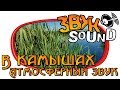 В камышах (Атмосферный звук) / In the reeds (Atmospheric sound)