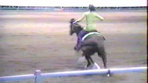 Bridleless Freestyle Reining 1997 Regina Terry Chi...