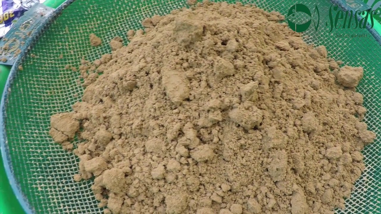 Tout savoir sur la pêche en Canal avec Gilles Caudin